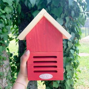 Hôtel à coccinelles – coloris aléatoire