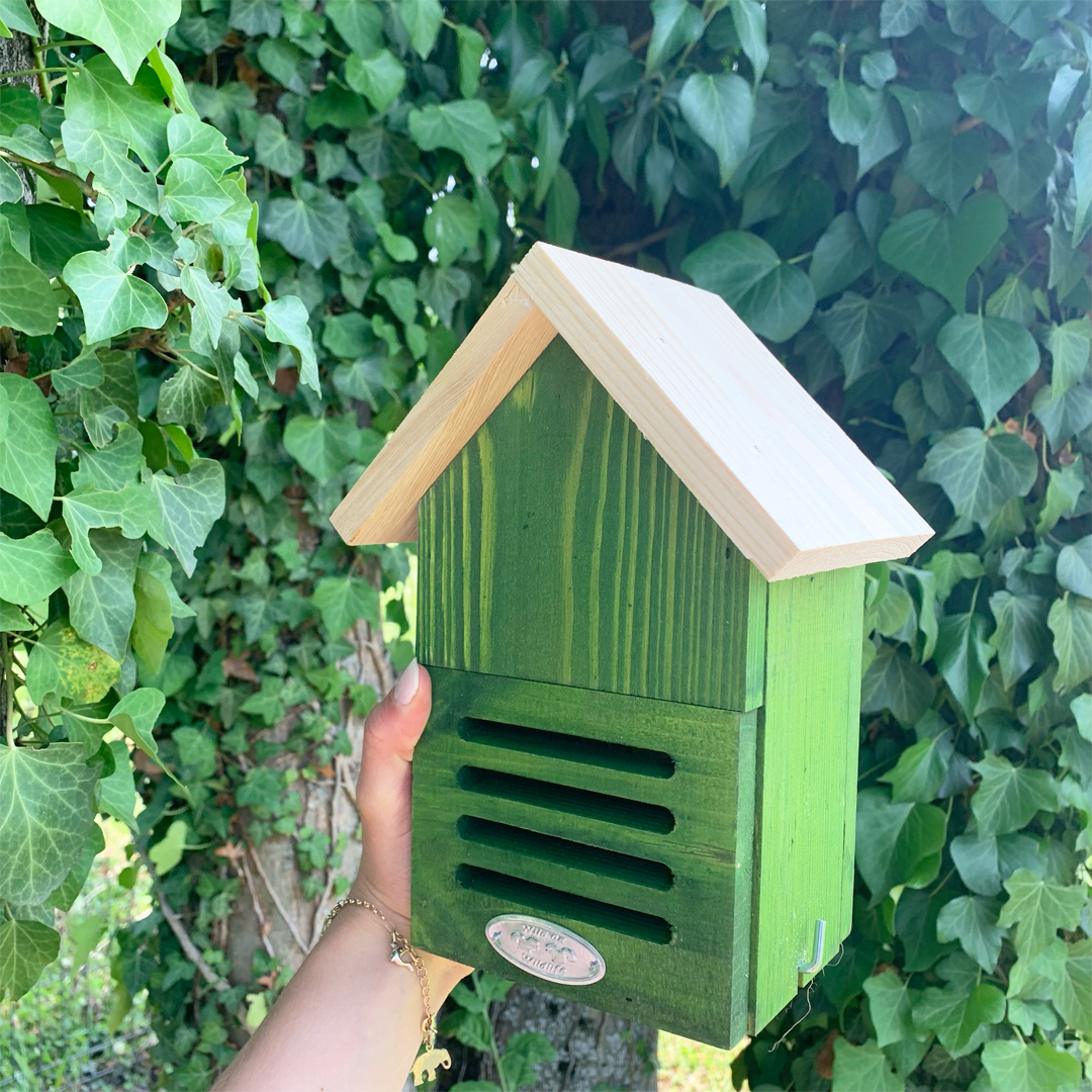 Hôtel à coccinelles – coloris aléatoire – Image 3