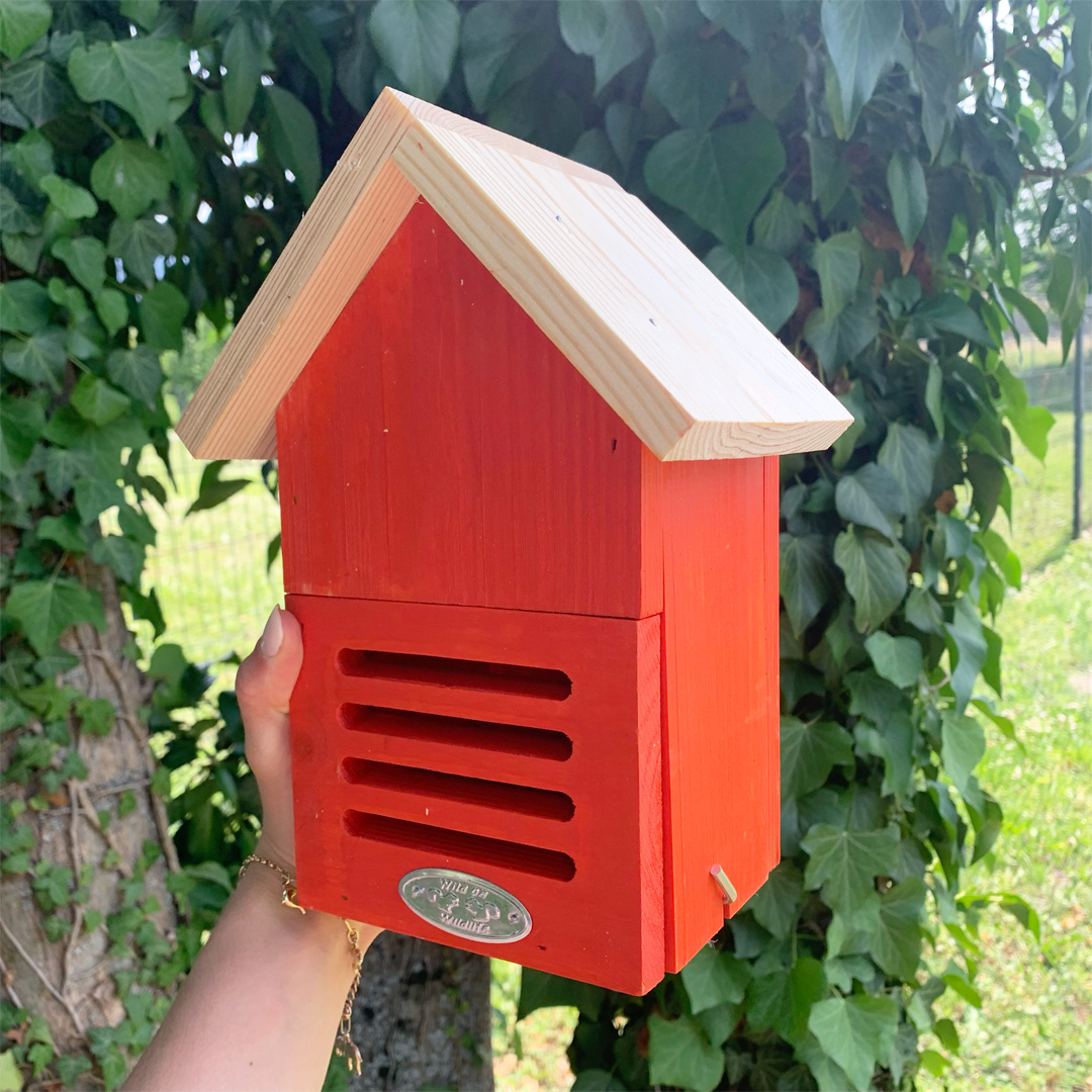 Hôtel à coccinelles – coloris aléatoire – Image 8