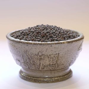 Moutarde brune graine Bio