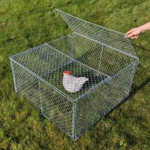 Mue à poussins fabriquée en Bretagne