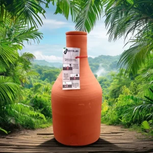 Ollas bouteille en terre cuite