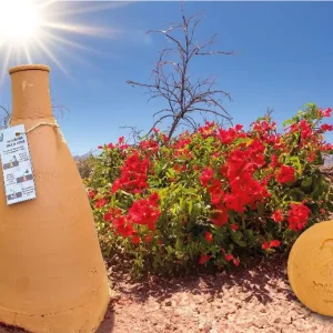 Ollas triangle avec bouchon – Idéal pots