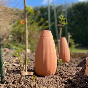 Ollas Wepot au design épuré