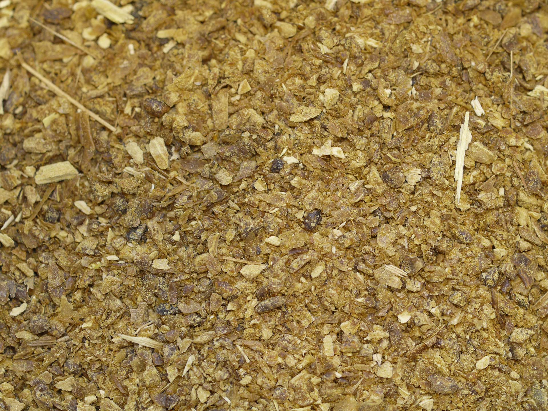 Orange douce zeste coupé Bio – Image 2