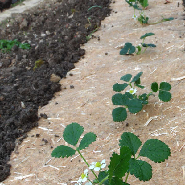 Rouleau de paillage en chanvre longue durée – Image 2