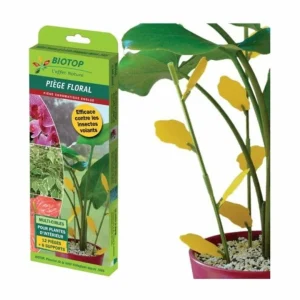 Pièges englués jaunes contre les insectes volants