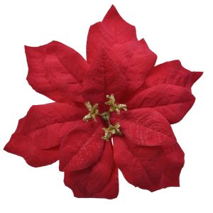 Poinsettia Tissu