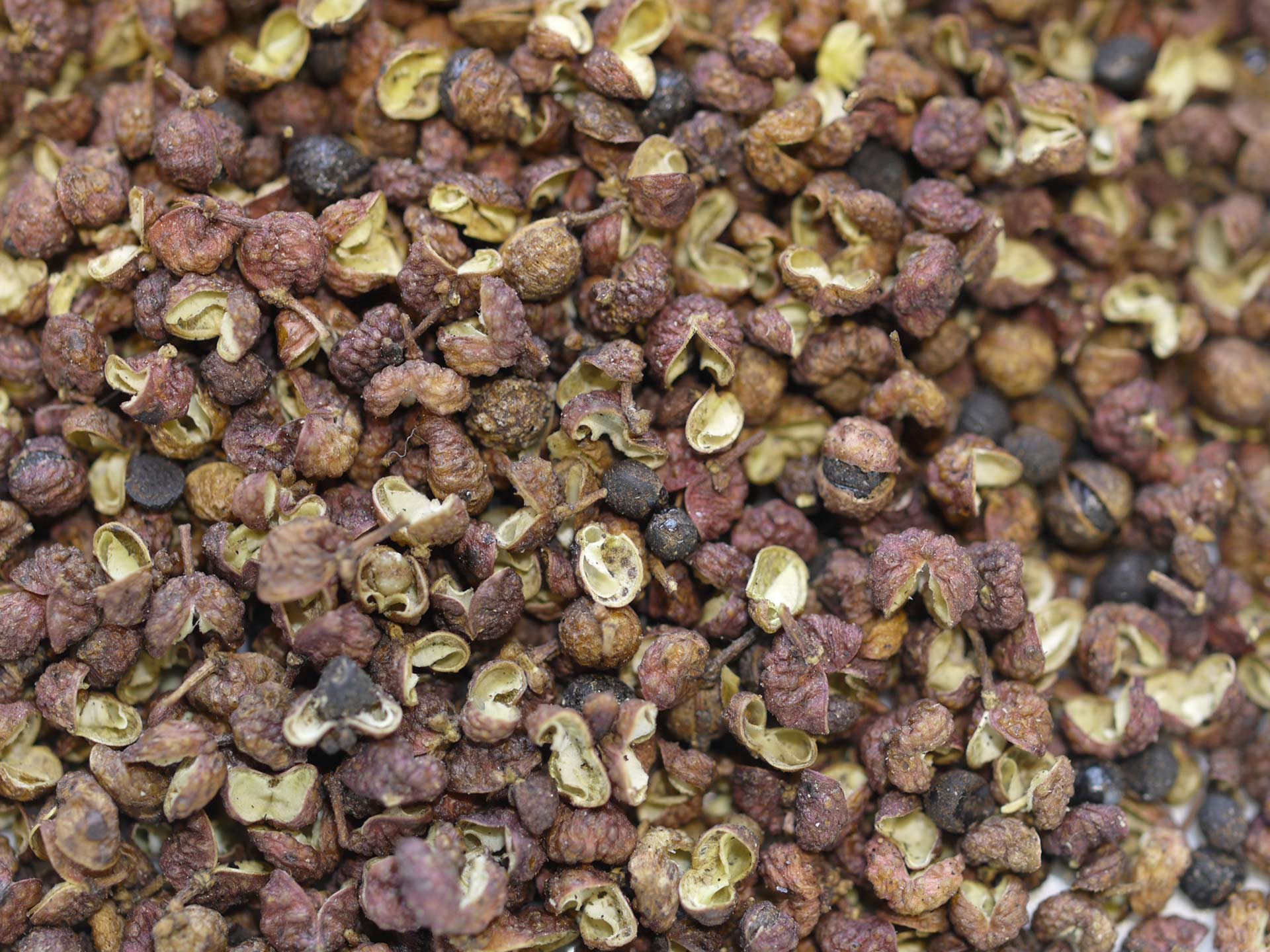 Poivre du Sichuan Bio (fagara) – Image 2