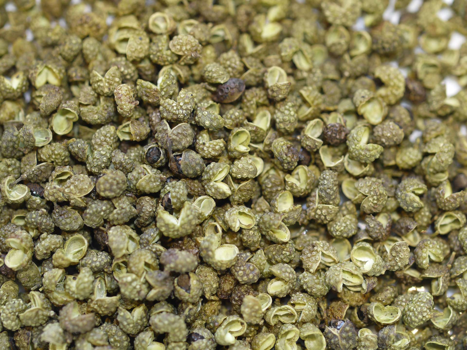 Poivre du Sichuan vert (fagara) – Image 2