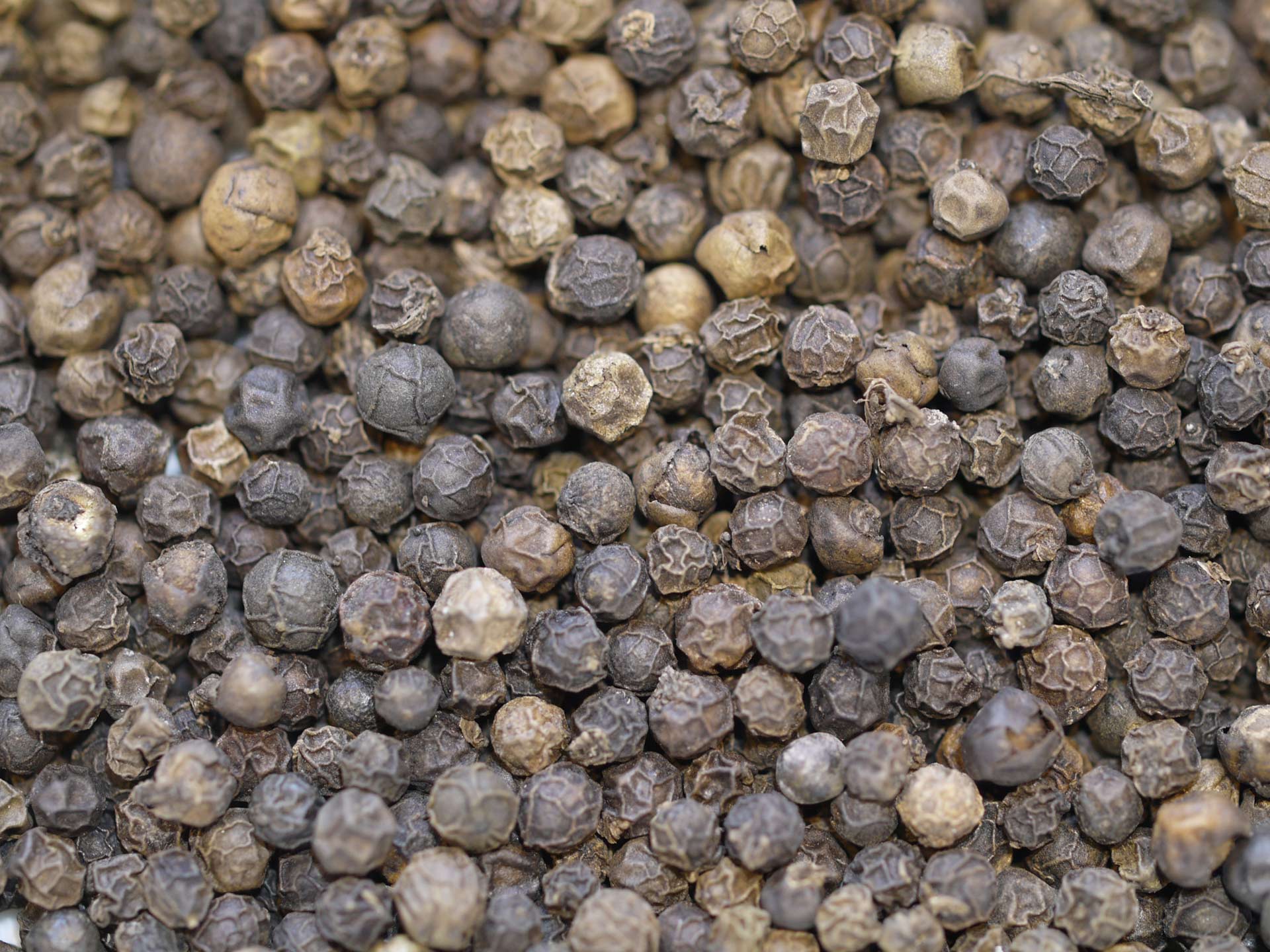 Poivre noir de Belem – Image 2