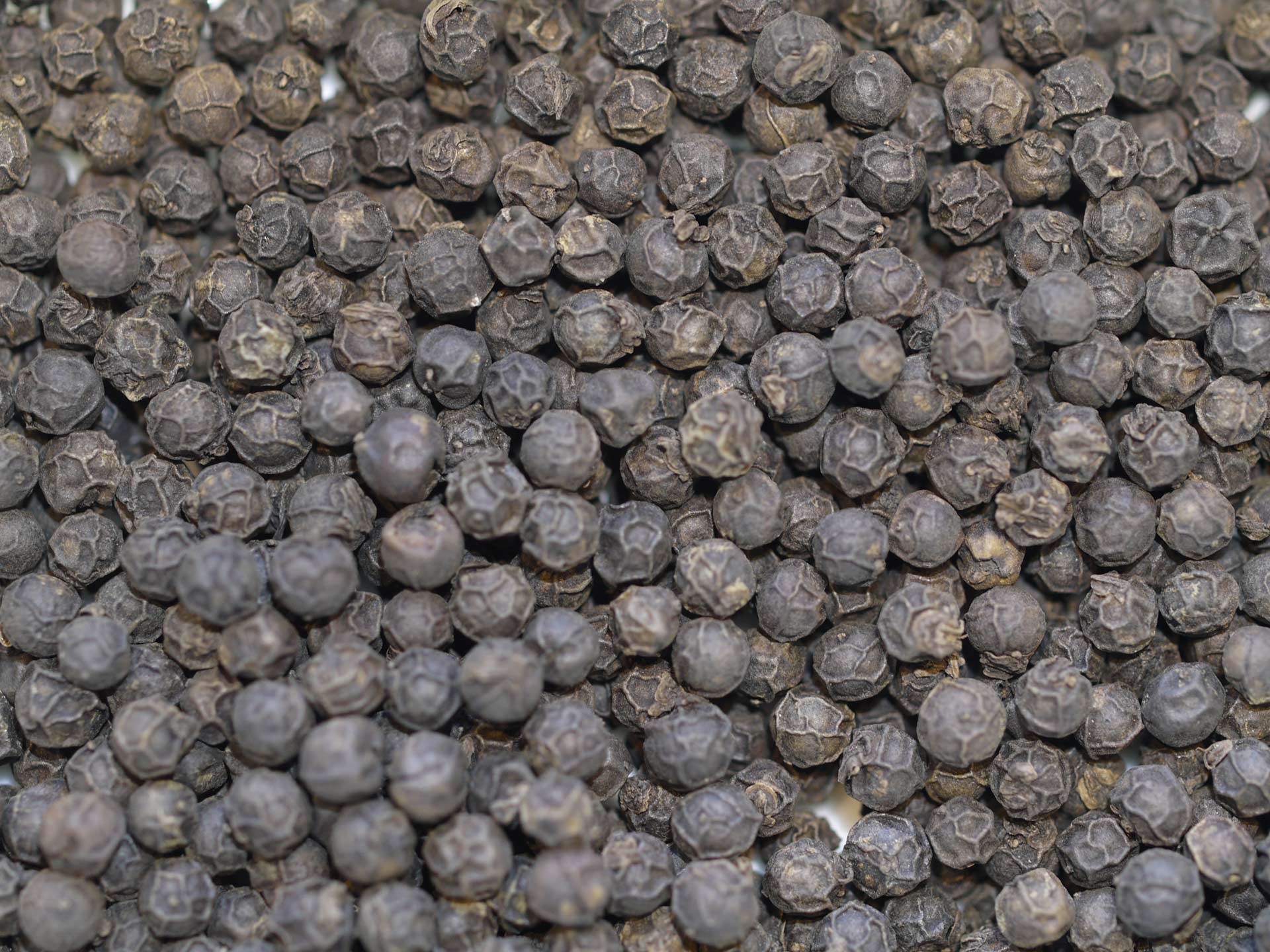 Poivre noir de Kampot IGP Bio – Image 2