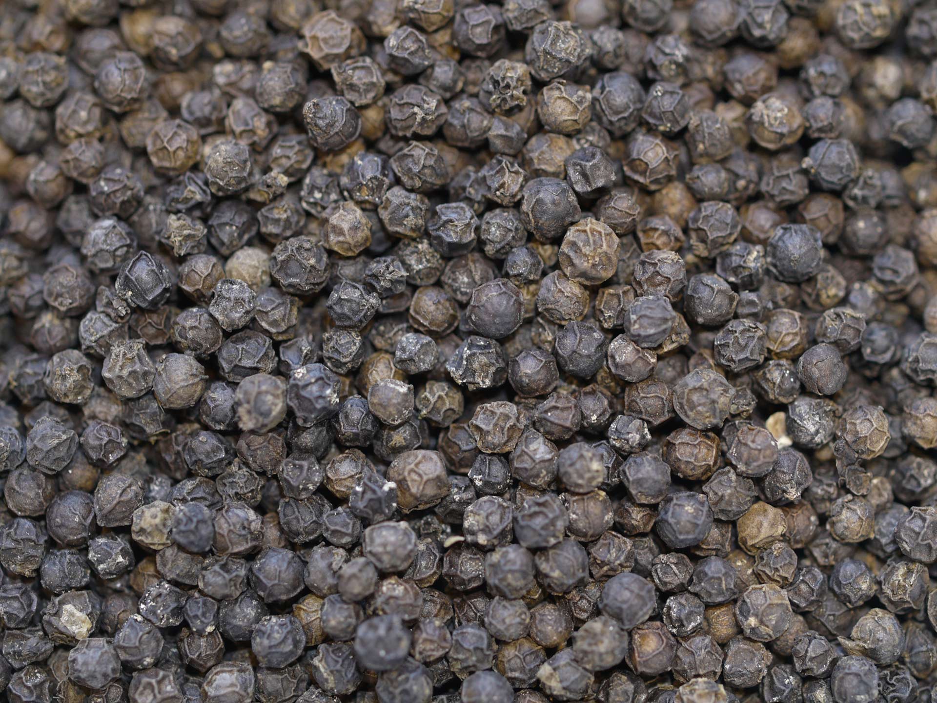 Poivre noir de Penja – Image 2