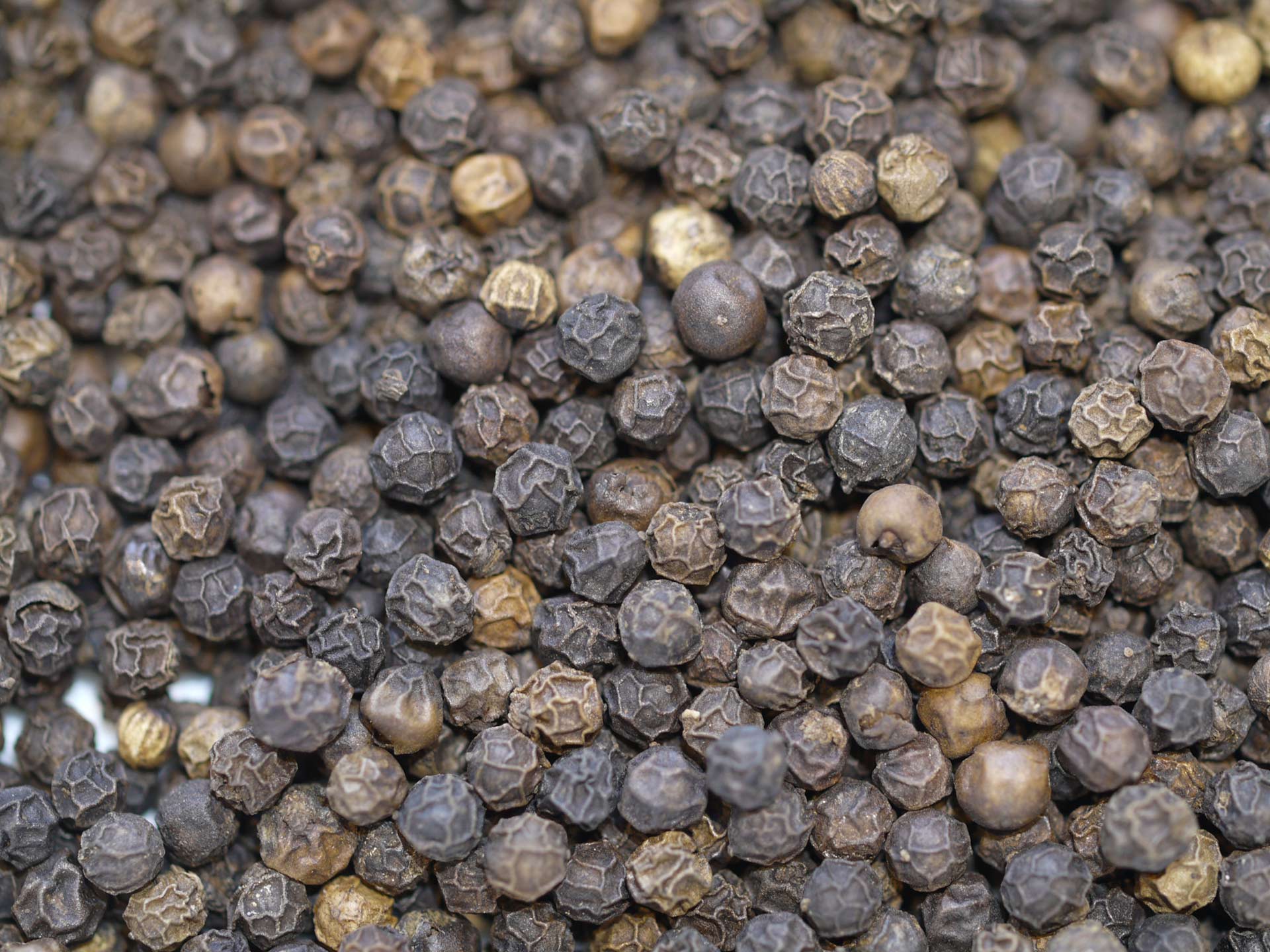 Poivre noir du Kerala Bio – Image 2