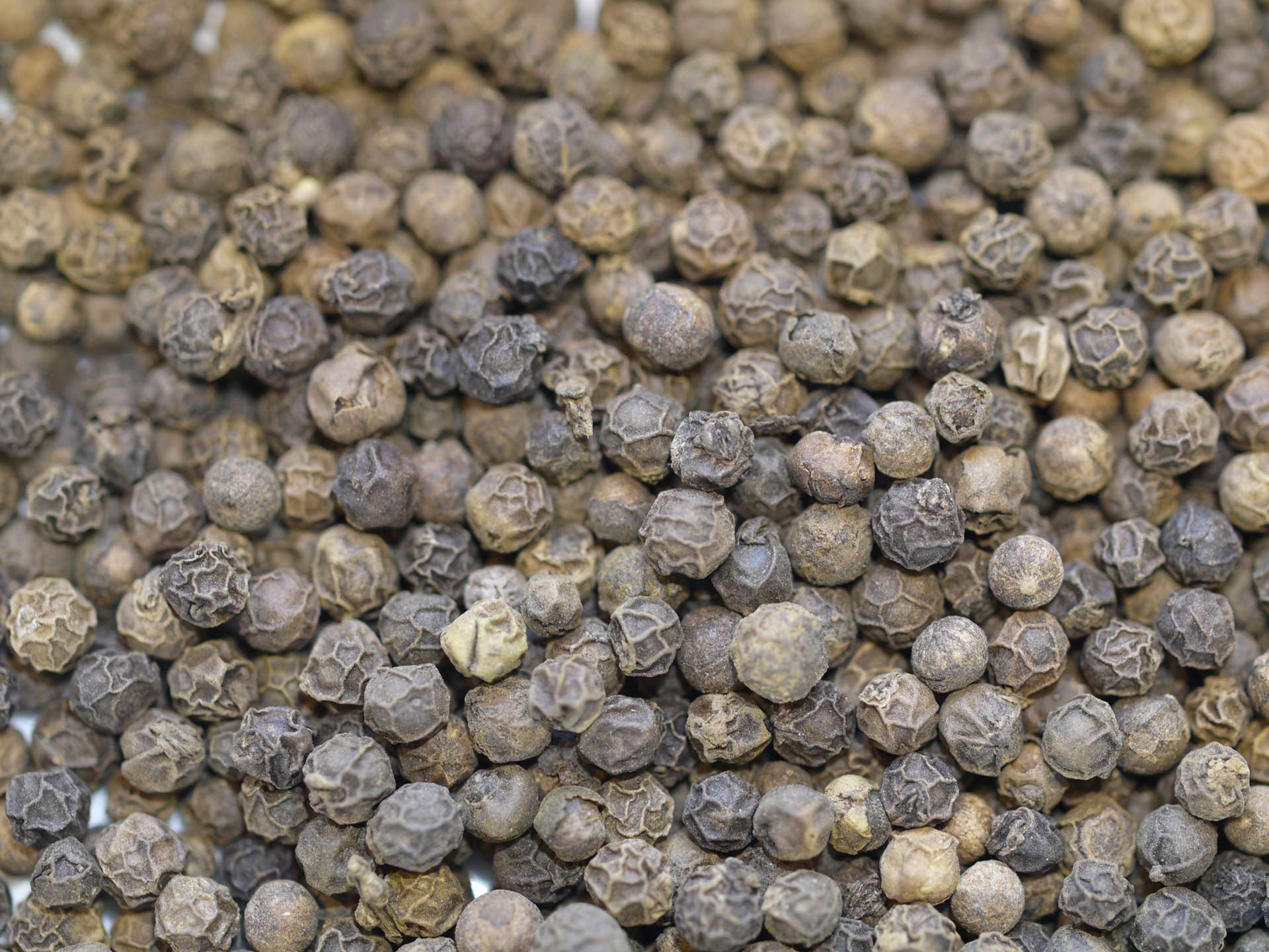 Poivre noir du Vietnam – Image 2