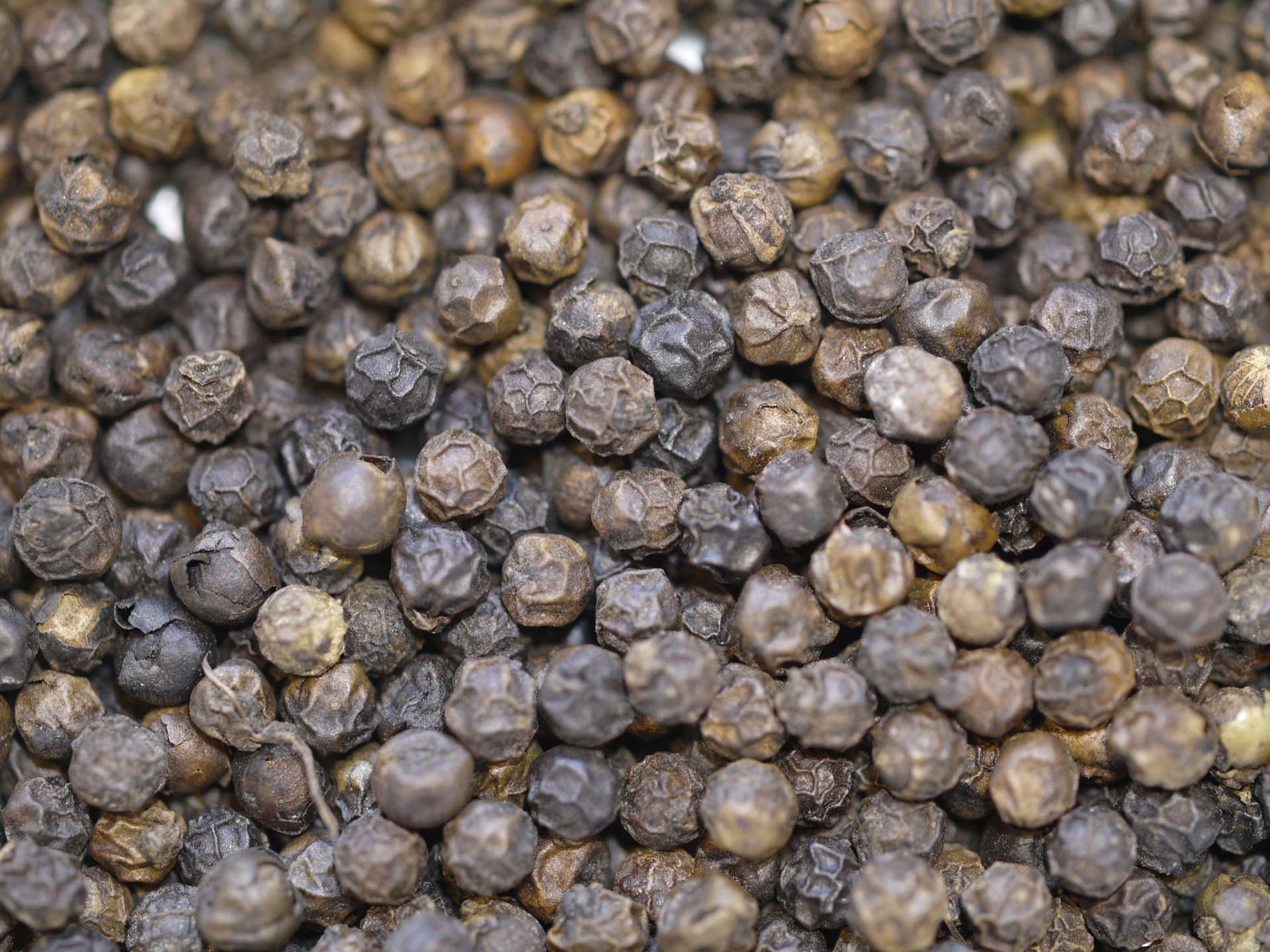 Poivre noir Wayanad – Image 2