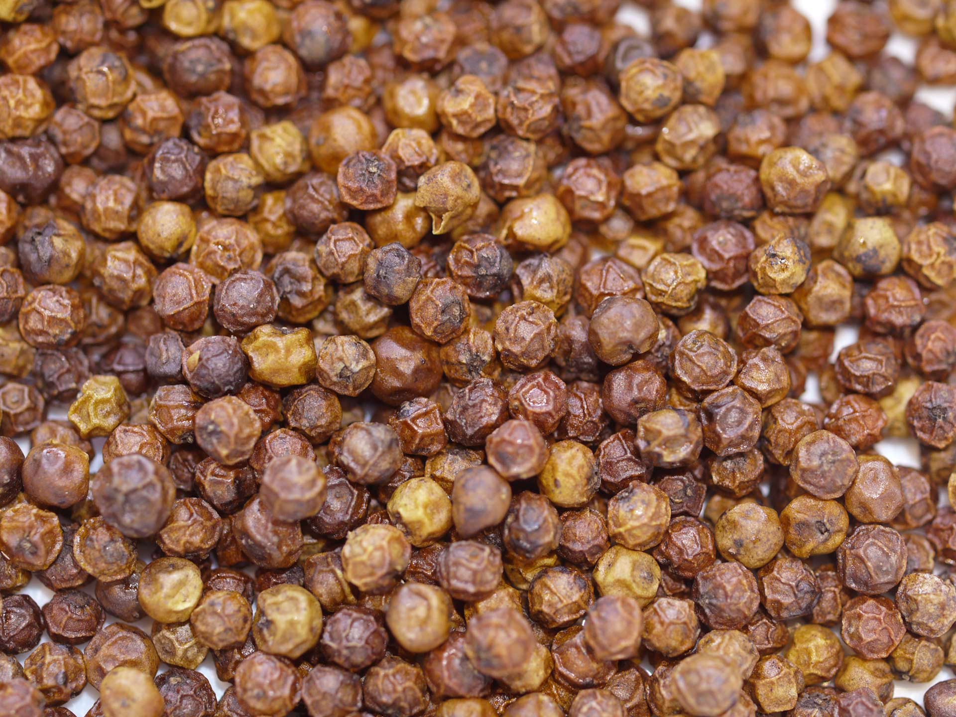 Poivre long rouge de Kampot IGP – Image 2