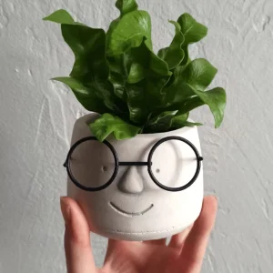 Cache-pot visage à lunettes