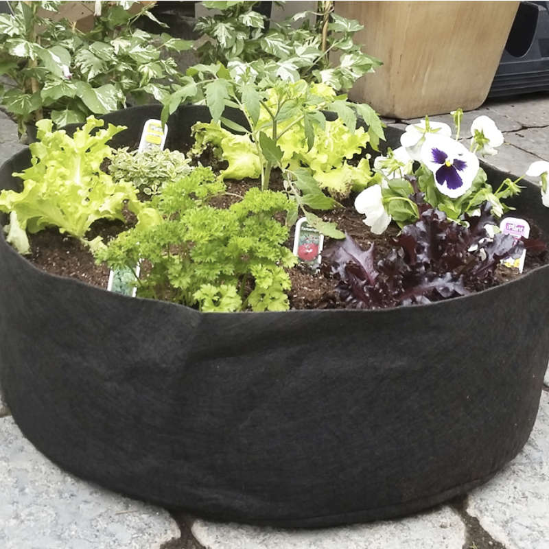 Root Pouch vert sans poignées – Image 2