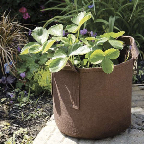 Root Pouch marron avec poignées – Image 2