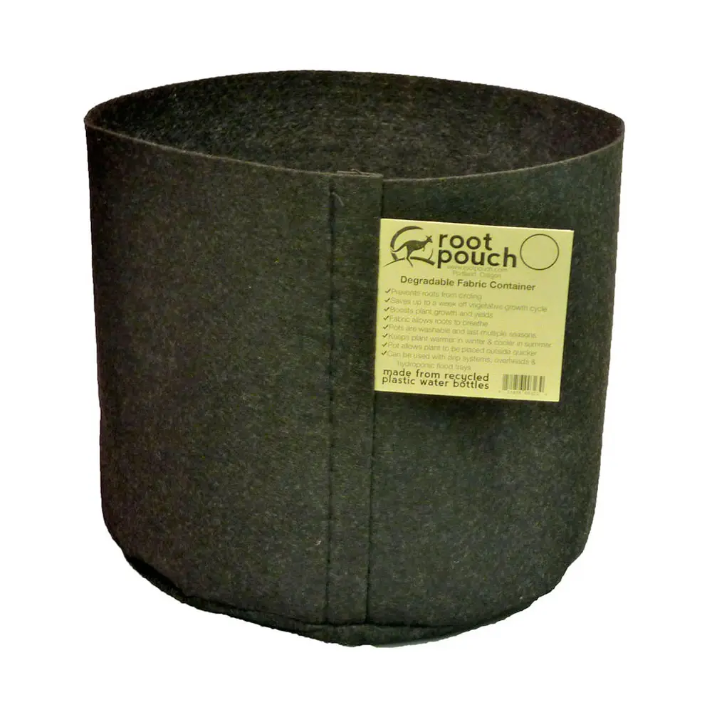 Root Pouch noir sans poignées