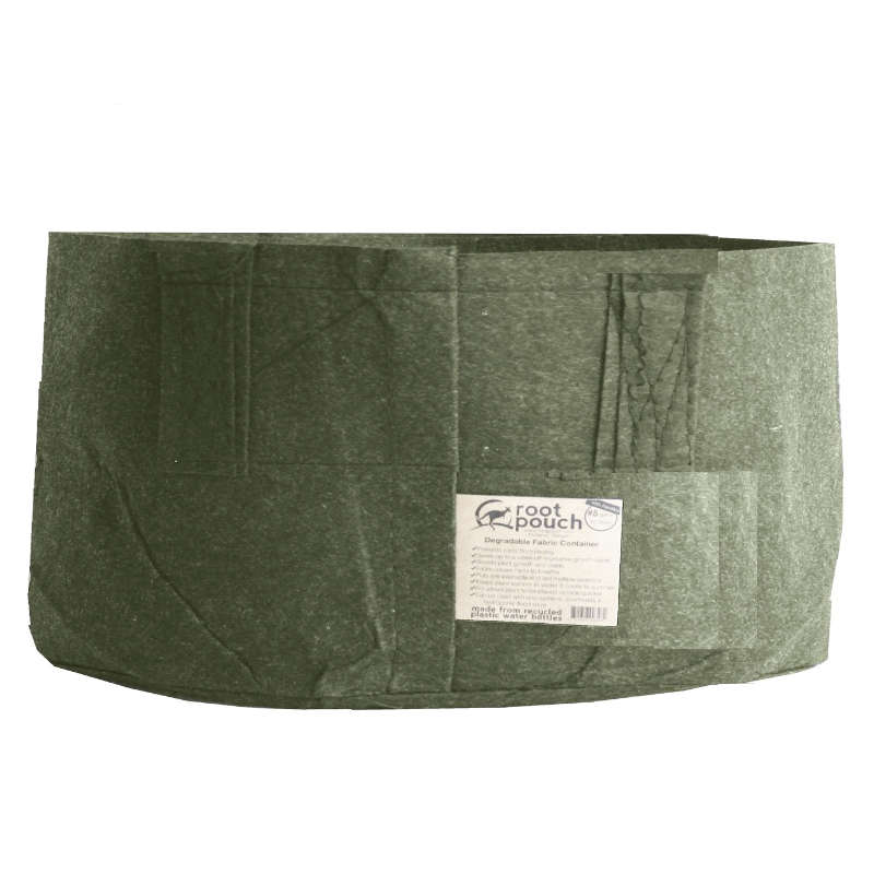 Root Pouch vert sans poignées