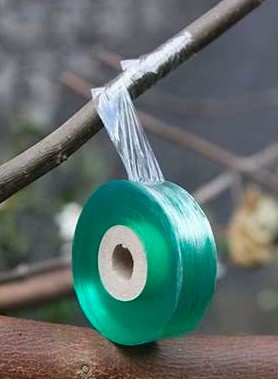 Ruban de greffage – Image 2