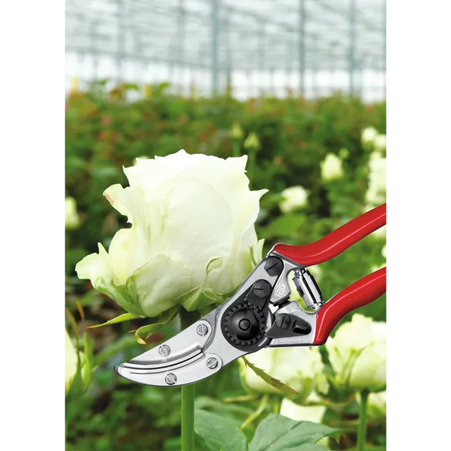Sécateur cueille-fleurs Felco 100 – Image 2