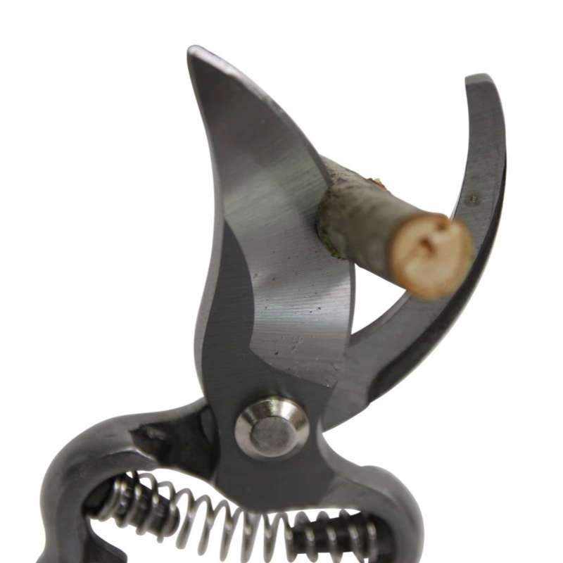 Sécateur lame contre lame – Image 4