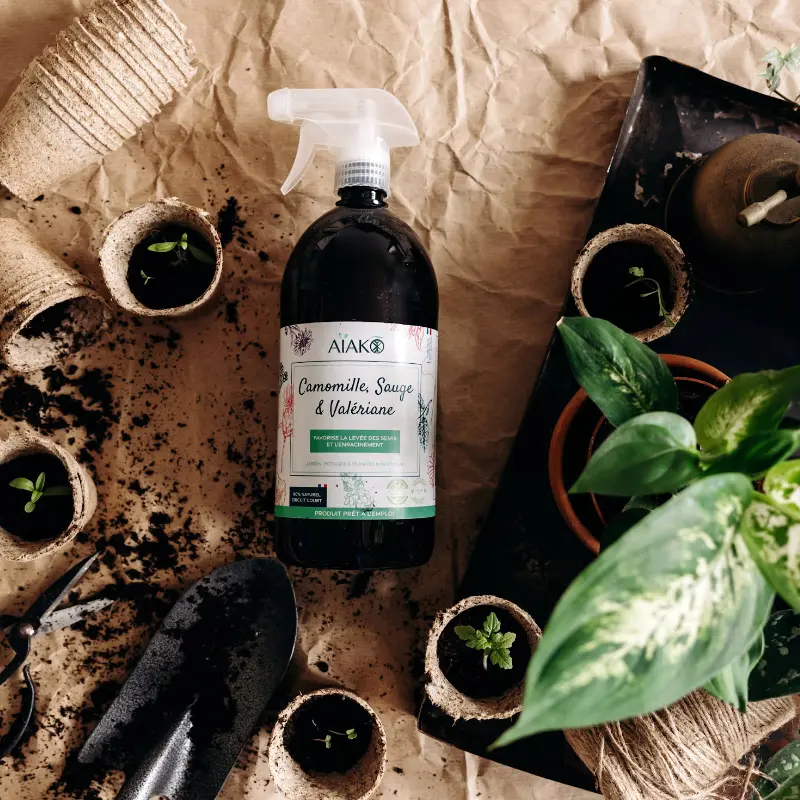 Camomille, sauge, valériane – Favorise la levée des semis et l’enracinement – Image 2