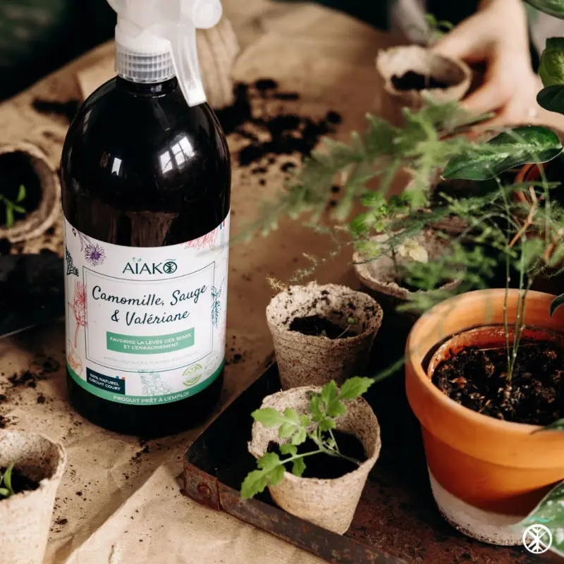 Camomille, sauge, valériane – Favorise la levée des semis et l’enracinement – Image 3
