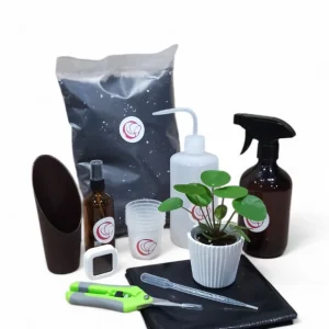 Coffret Starter Plante
