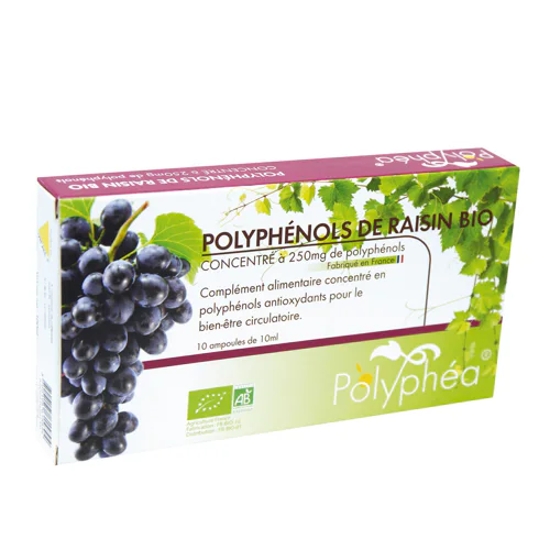 Polyphénols de raisin bio – POLYPHEA 260 mg – 10 ampoules