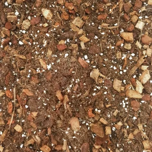 Terreau Hoya – Enrichi en Mycorhize et Bacillus