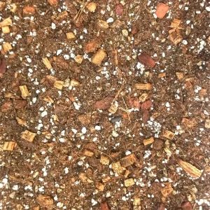 Terreau Anthurium – Enrichi en Mycorhize et Bacillus