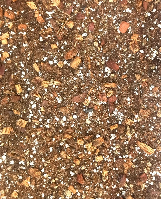 Terreau Anthurium – Enrichi en Mycorhize et Bacillus – Image 2