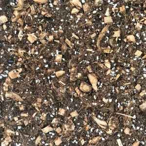 Terreau Aroïd pour Aracées – Enrichi en Mycorhize et Bacillus