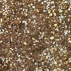 Terreau Cactées et Succulentes – Enrichi en Mycorhize et Bacillus