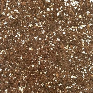 Terreau Calathea et Maranta – Enrichi en Mycorhize et Bacillus