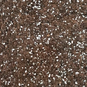 Terreau Universel Premium – Enrichi en Mycorhize et Bacillus