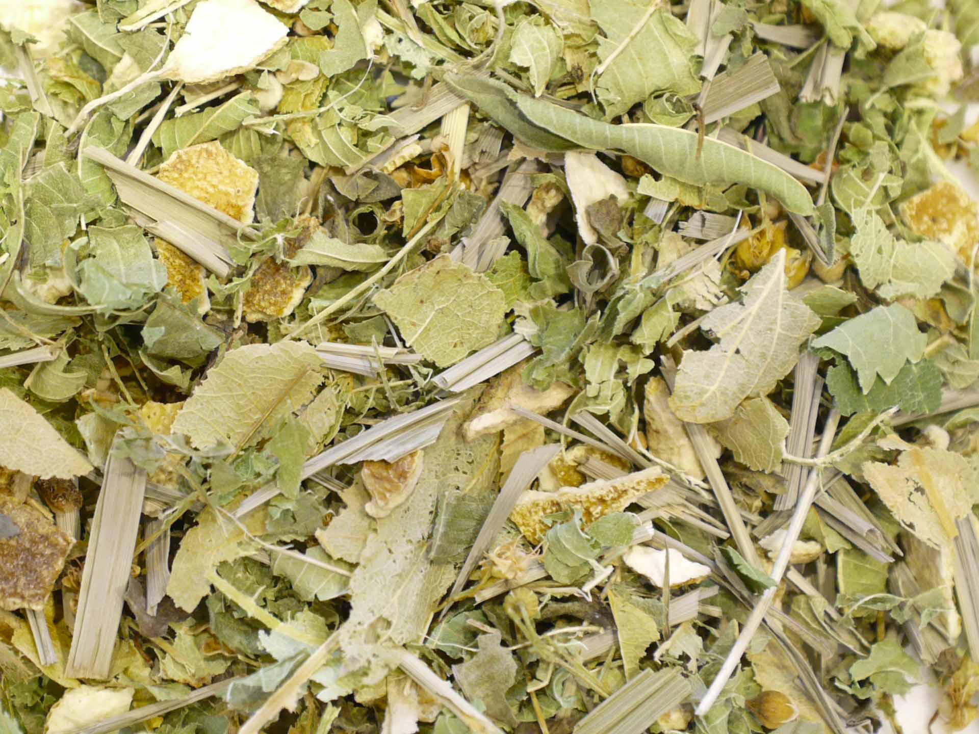 Tisane Bio de Dan le berger