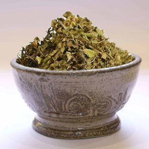 Tulsi Bio (Basilic sacré bio)