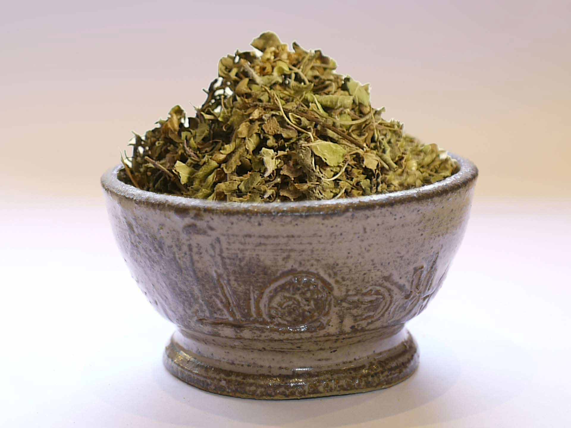 Tulsi Bio (Basilic sacré bio)