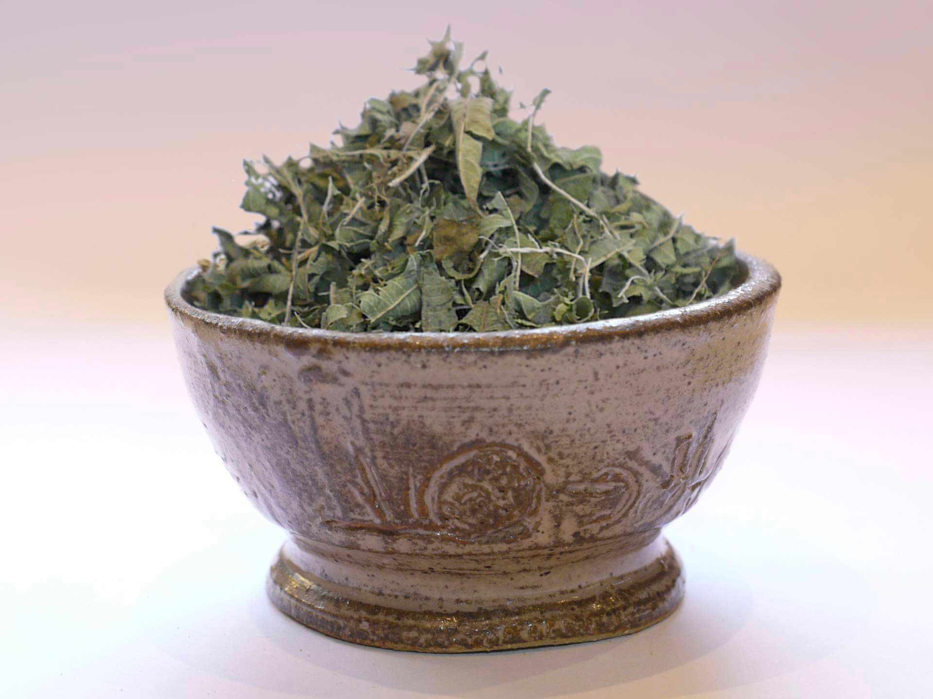 Verveine odorante Bio