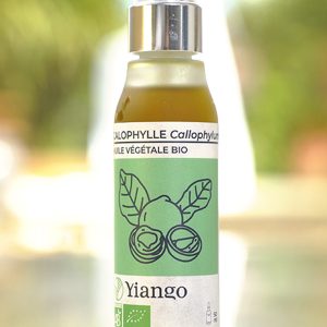 Huile végétale Calophylle bio – 50ml