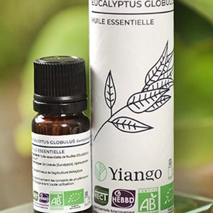 Huile essentielle Eucalyptus Globulus bio – 10ml