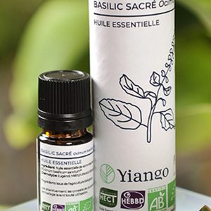 Huile essentielle Basilic Sacré bio – 5ml