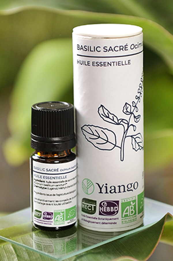 Huile essentielle Basilic Sacré bio – 5ml