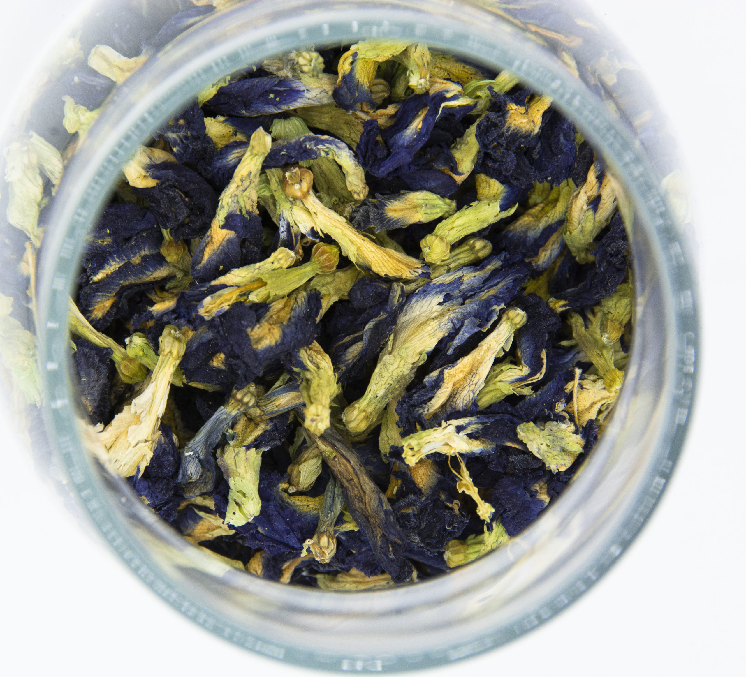 Fleurs de pois papillon