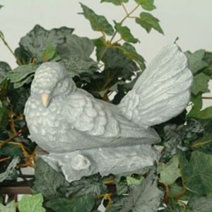 Colombe ailes fermées